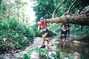 BIB: 
                            <button type="button" onclick="openModal(25436577)" class="btn btn-primary btn-sm float-right btn-popup" data-toggle="modal" data-target=".modal-high-quality">
                        <i class="fas fa-shopping-cart"></i> Add to Cart
                    </button>
                                            <button type="button" onclick="isThisMe(25436577, true)" class="btn btn-success btn-sm float-right btn-popup btn-isme hidden" data-toggle="tooltip" data-placement="bottom" title="นี่คือรูปของคุณใช่ไหม คลิกที่นี่เพื่อเอาเข้าอัลบั้ม">
                        <i class="fas fa-plus"></i> Add to album
                    </button>
                    <button type="button" onclick="isThisMe(25436577, false)" class="btn btn-warning btn-sm float-right btn-popup btn-isnotme hidden">
                        <i class="fas fa-ban"></i> Remove from album
                    </button>